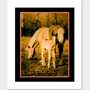 Mare and Foal Posters and Art